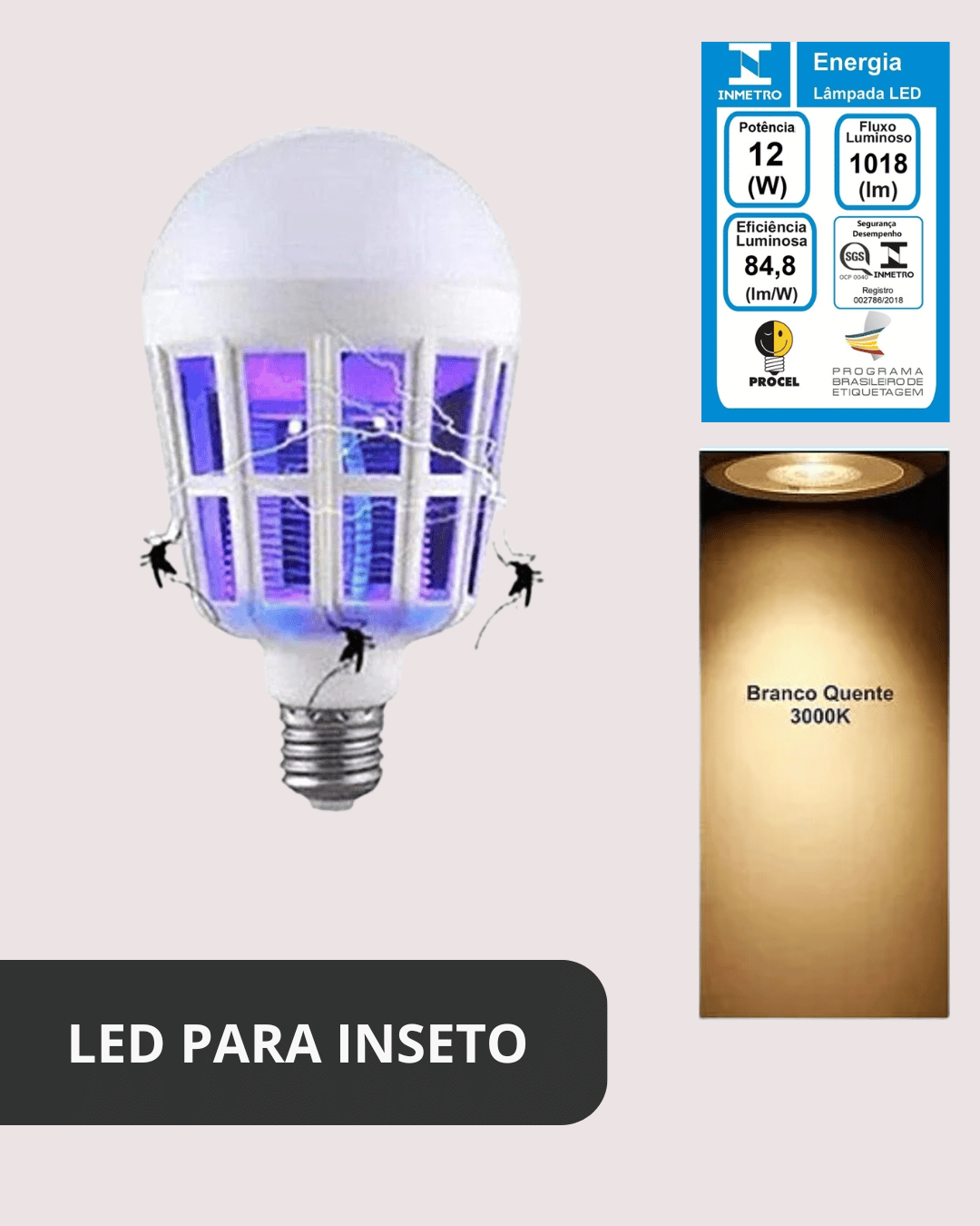 Lampada LED Goiania Inseto